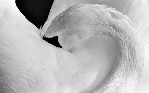 webinar_espiritualidad